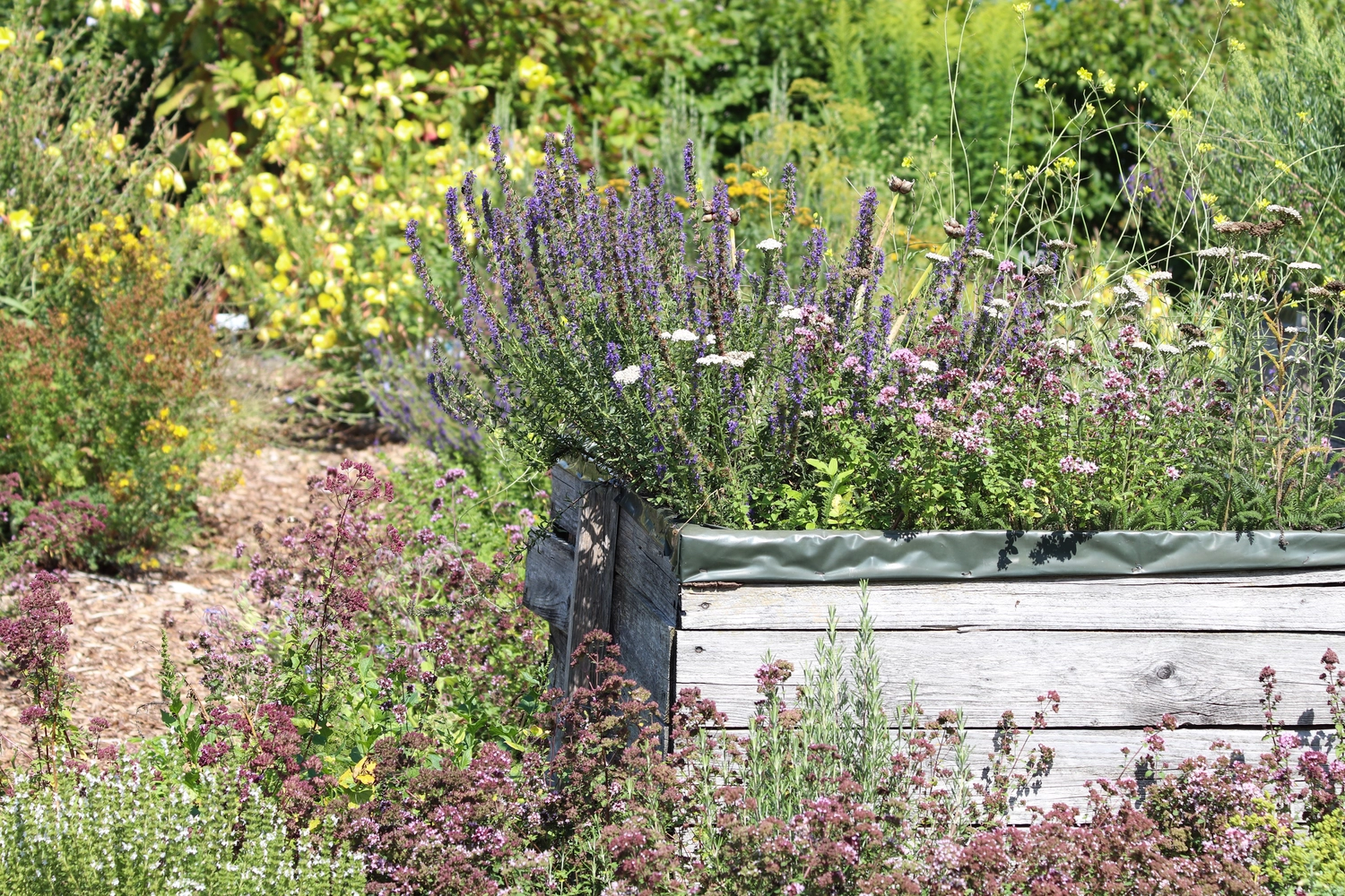 Odenwald - Stiftung Naturschutz - barrierefrei - Hochbeet im Kräutergarten 