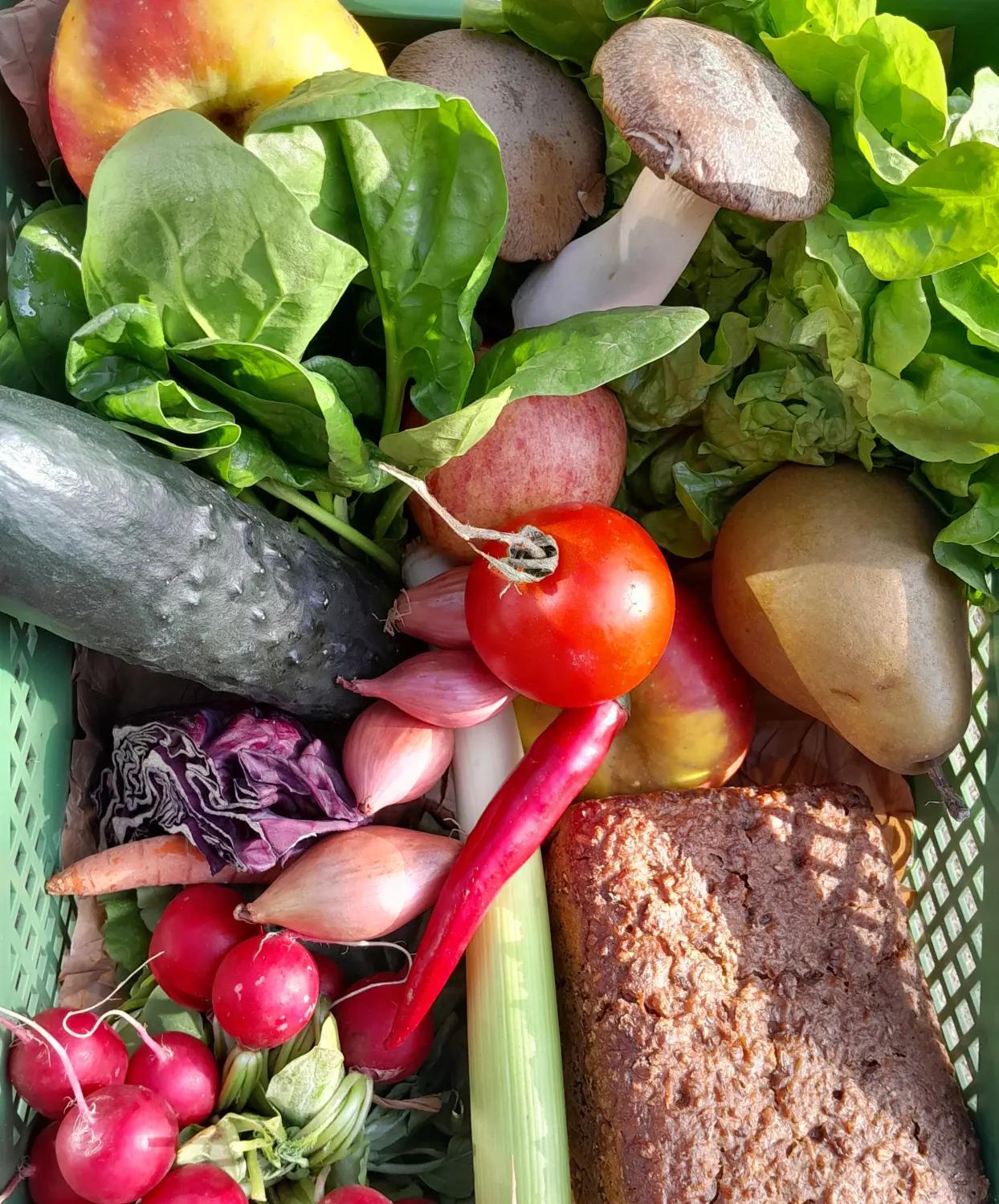 Odenwald - Stiftung Naturschutz - barrierefrei - Gemüse